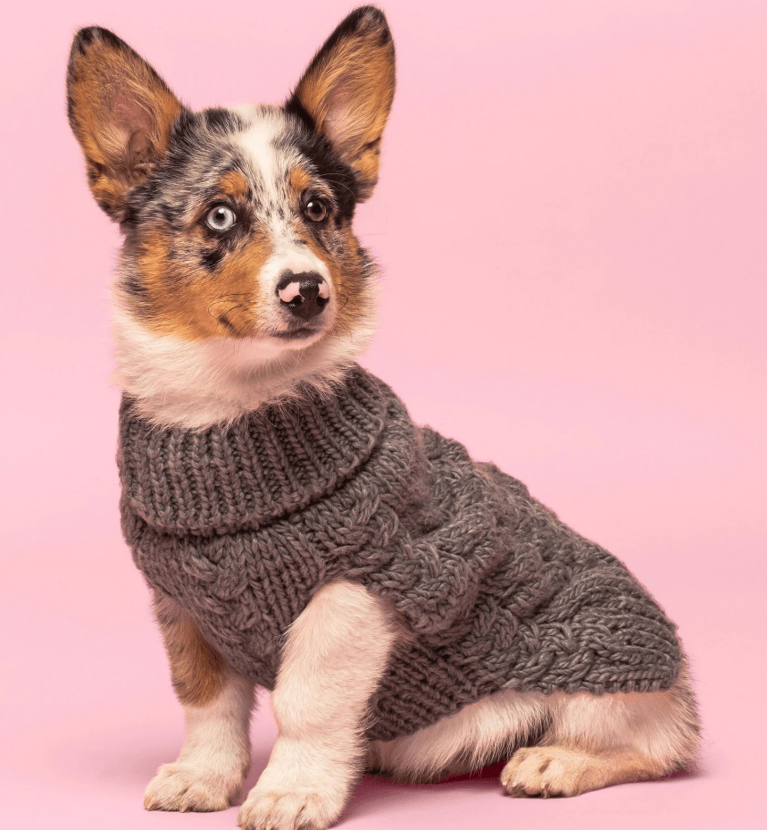 Knitting with Dog's Wool (1966)