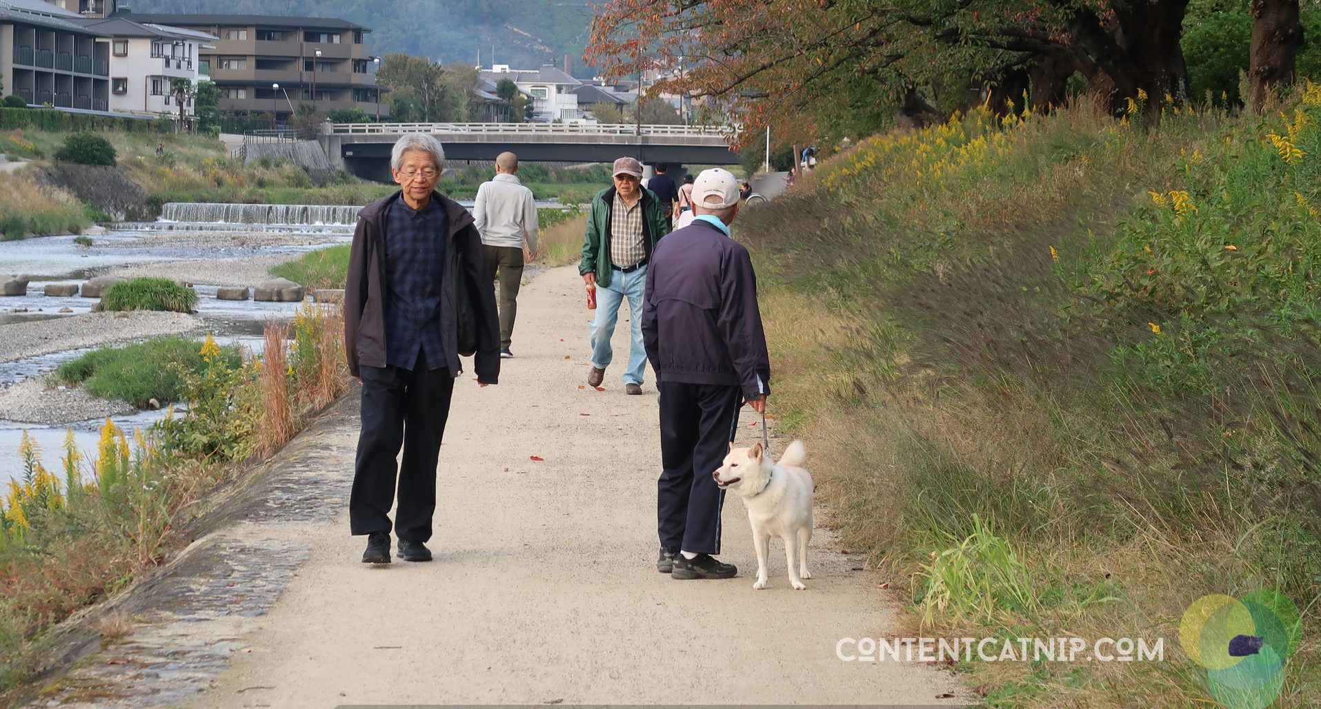 Travel: Cycling adventures along the Kamo river, Kyot