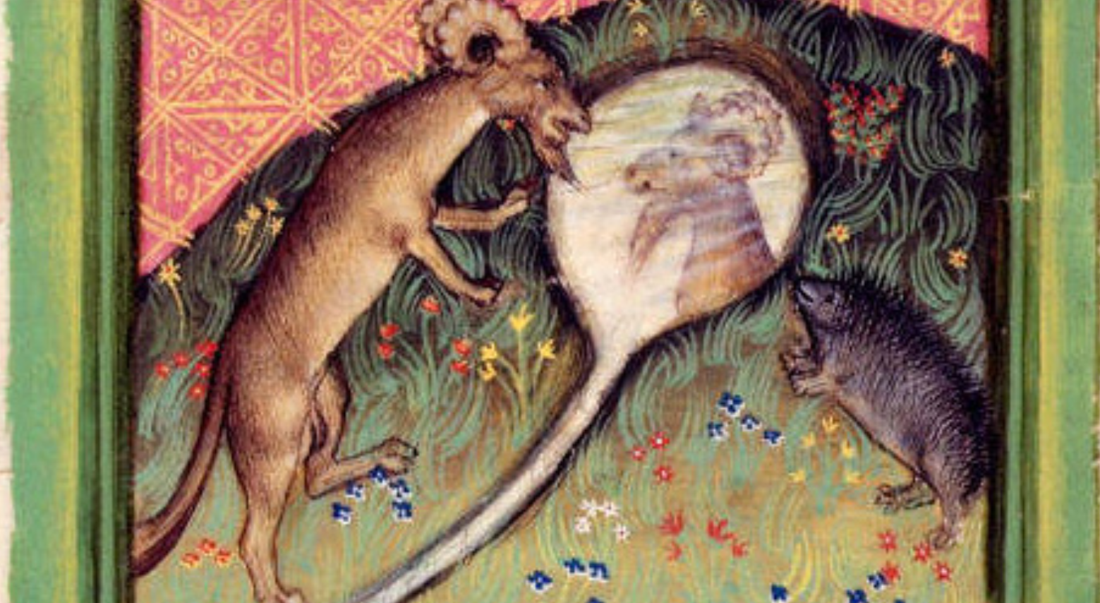 Ancient word of the day: Hedgehog