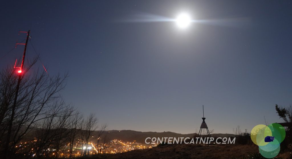 A roadtrip through the Bay of Plenty and Eastern Cape of the North Island