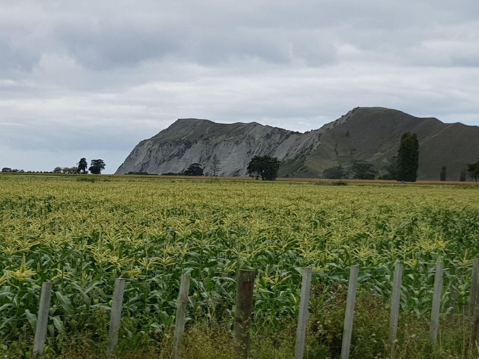 How testing my DNA unlocked the entire world for me