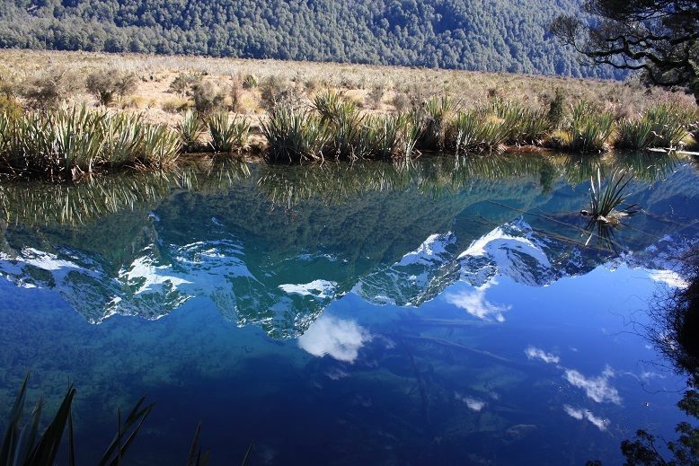 Travel: Magnificent Milford Sound, New Zealand Copyright Content Catnip 2016