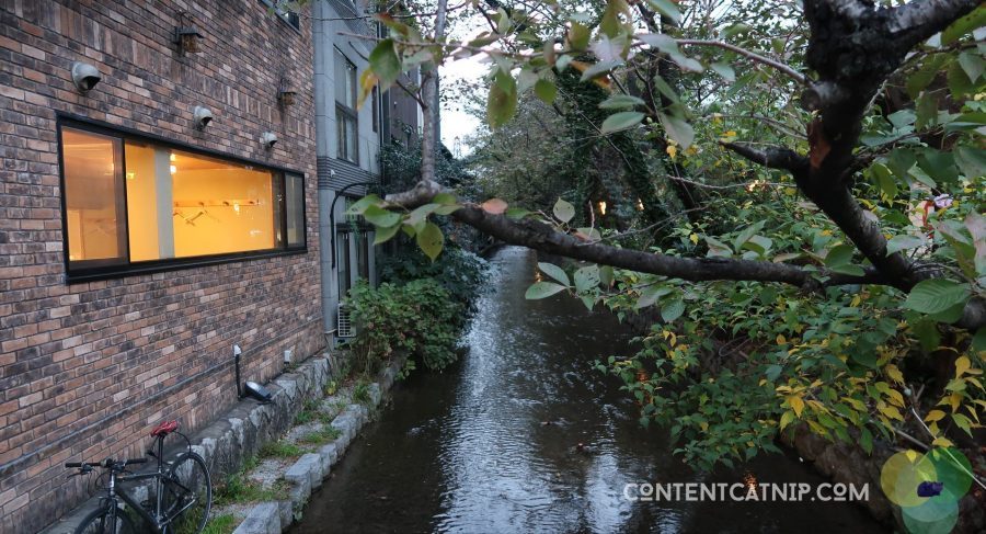 A babbling brook running behind the Kamo River - so cozy