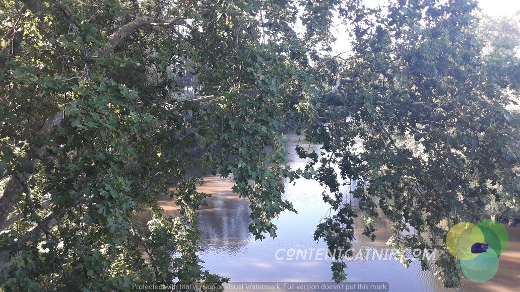 Travel: On Melbourne's Yarra River cycle trail