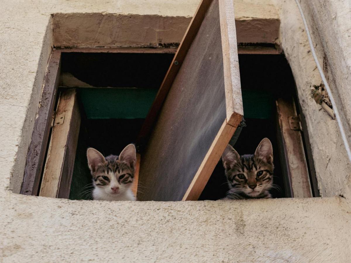 Thirty great medieval epithets for people and&nbsp;beasts