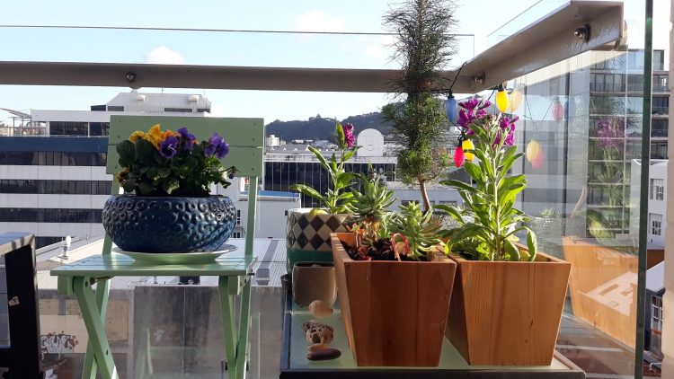 Wellington balcony in summertime