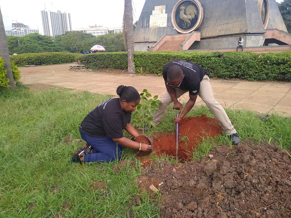Planting trees at Uhuru Park Nairobi