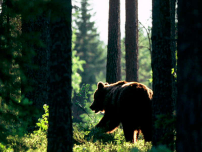 Ancient Word of the Day:&nbsp;Sussurate