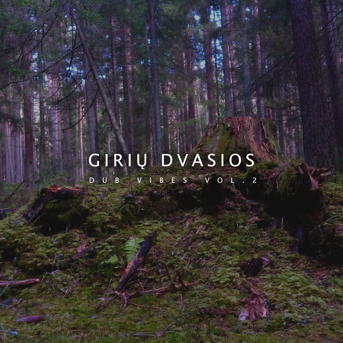 Artists & Writers in Their Own Words: Evaldas Azbukauskas AKA Giriu Dvasios