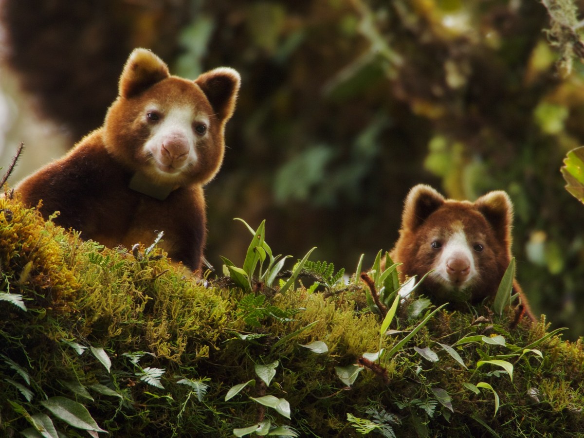 Comforting Thought: Artists Pay Homage to the Finest Examples of&nbsp;Humankind