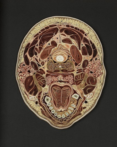 Intricate paper cross sections of human bodies by Lisa Nilsson