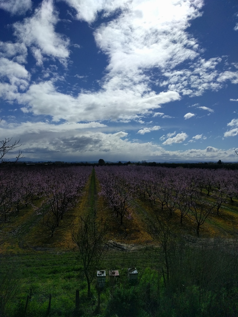 Travel: Napier's remote beaches and wineries by bike