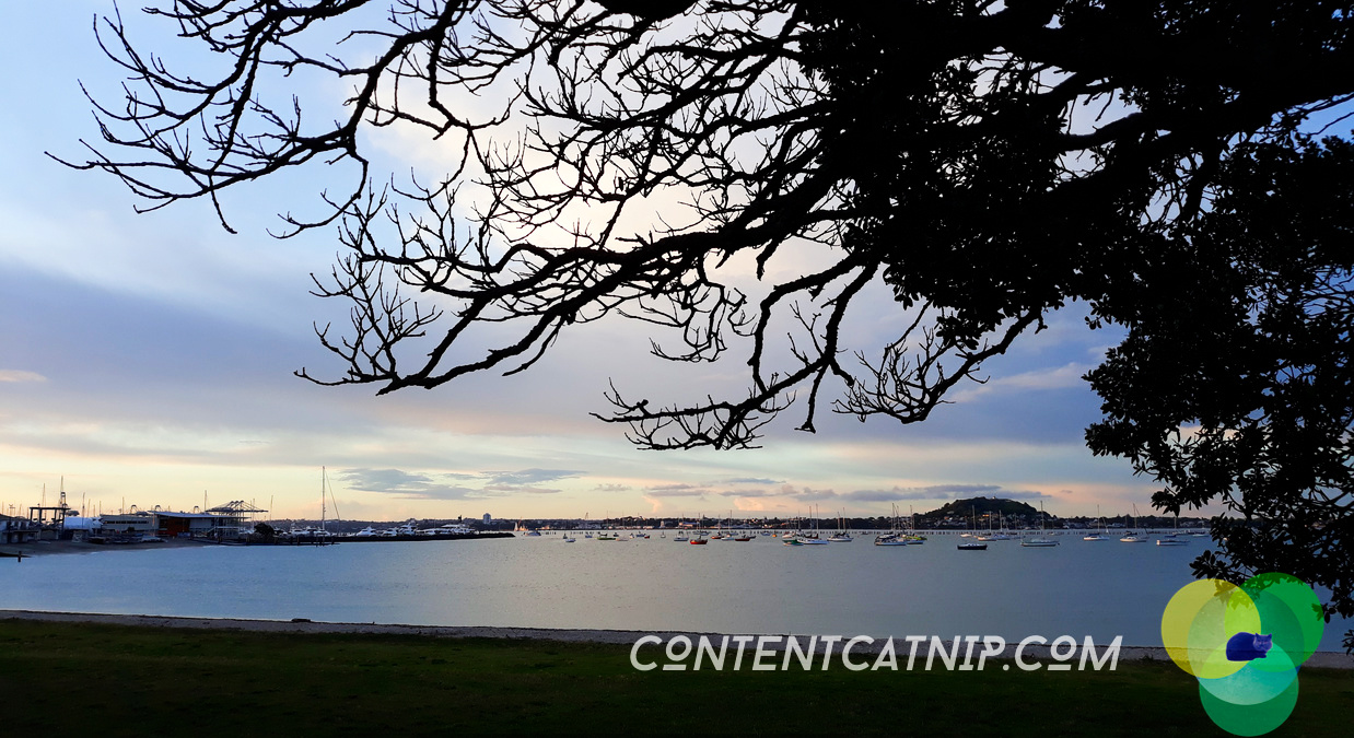 Dusk at Okahu Bay Copyright © Content Catnip 2018 www.contentcatnip.com