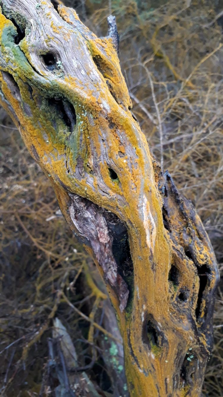 Life on an unstable landmass: Taupo and Rotorua Part Two