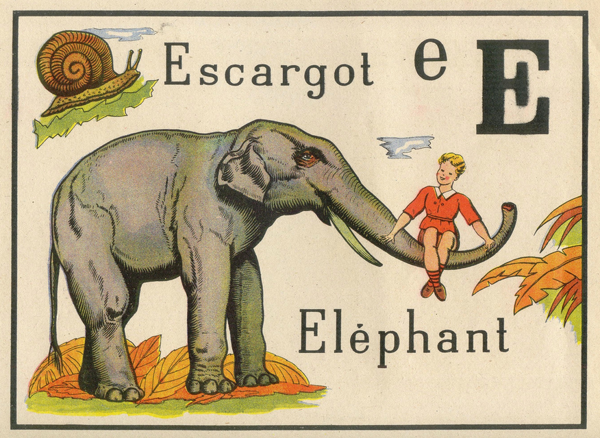 Dumbo and Co: Charming Pics of Mid Century Elephants