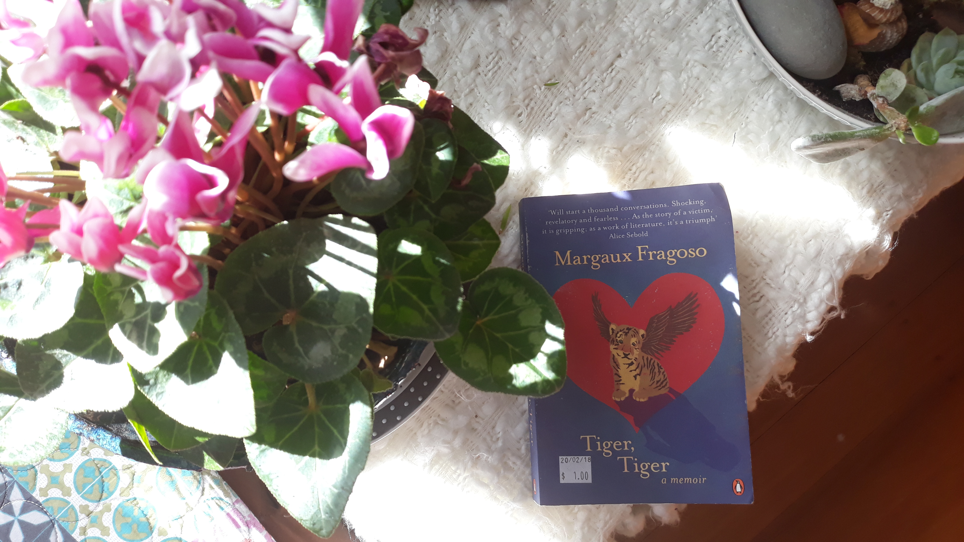 Book Review: Tiger Tiger by Margaux Fragoso