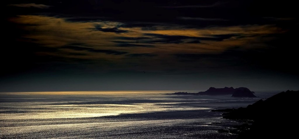 Maori nature ancient 