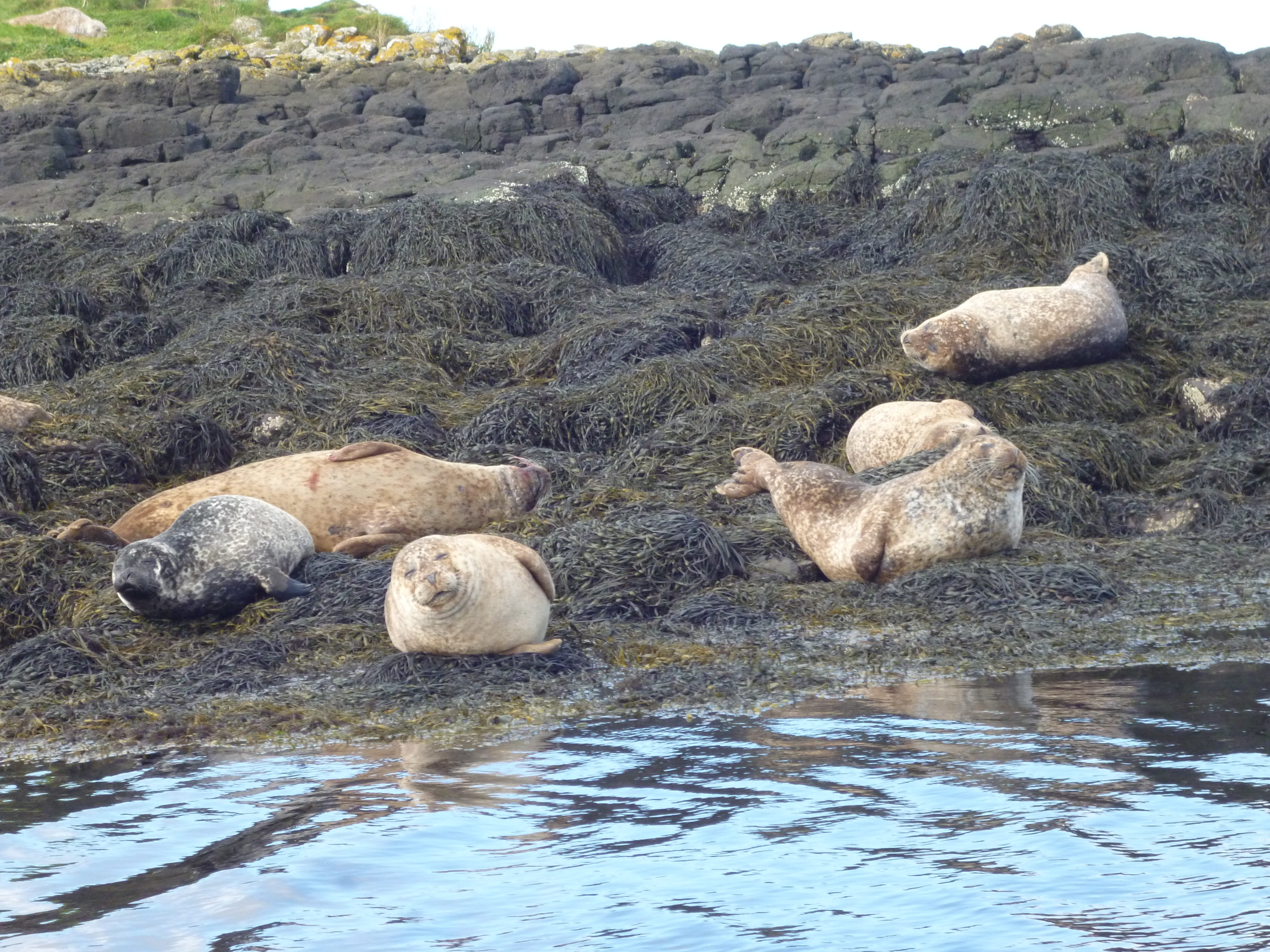 Seven Tips for Writing Top Notch Travel Articles http://wp.me/p41CQf-5h