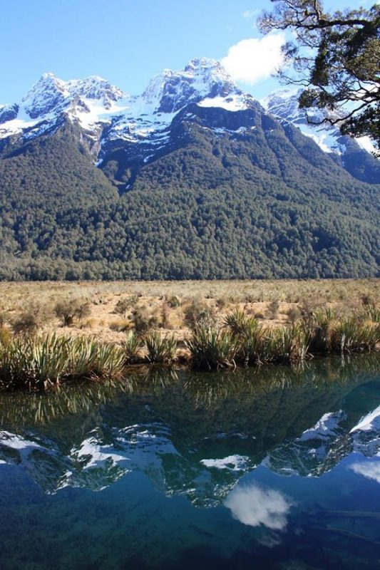 Travel: Magnificent Milford Sound, New Zealand Copyright Content Catnip 2016