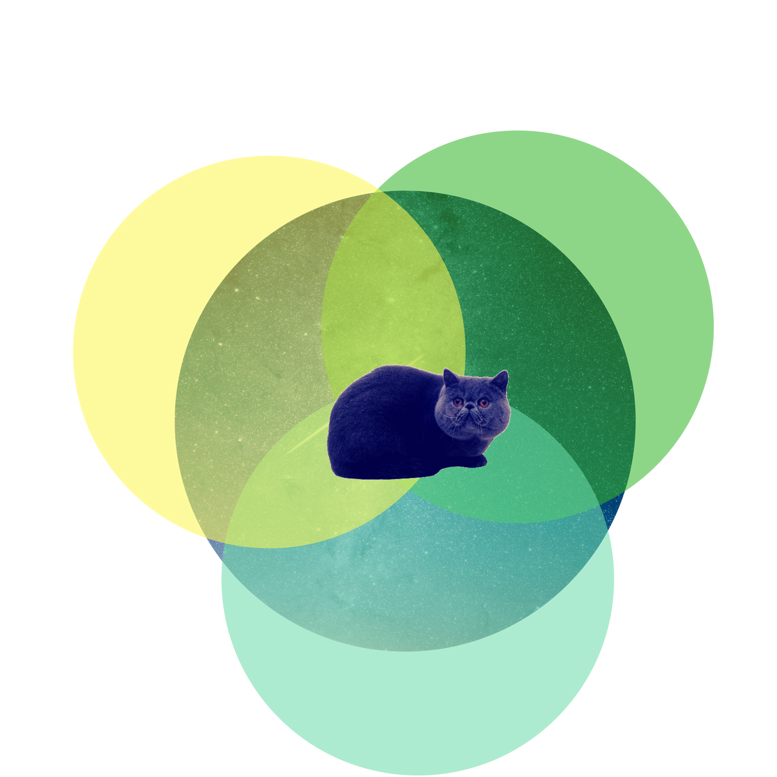 content catnip logo 2018
