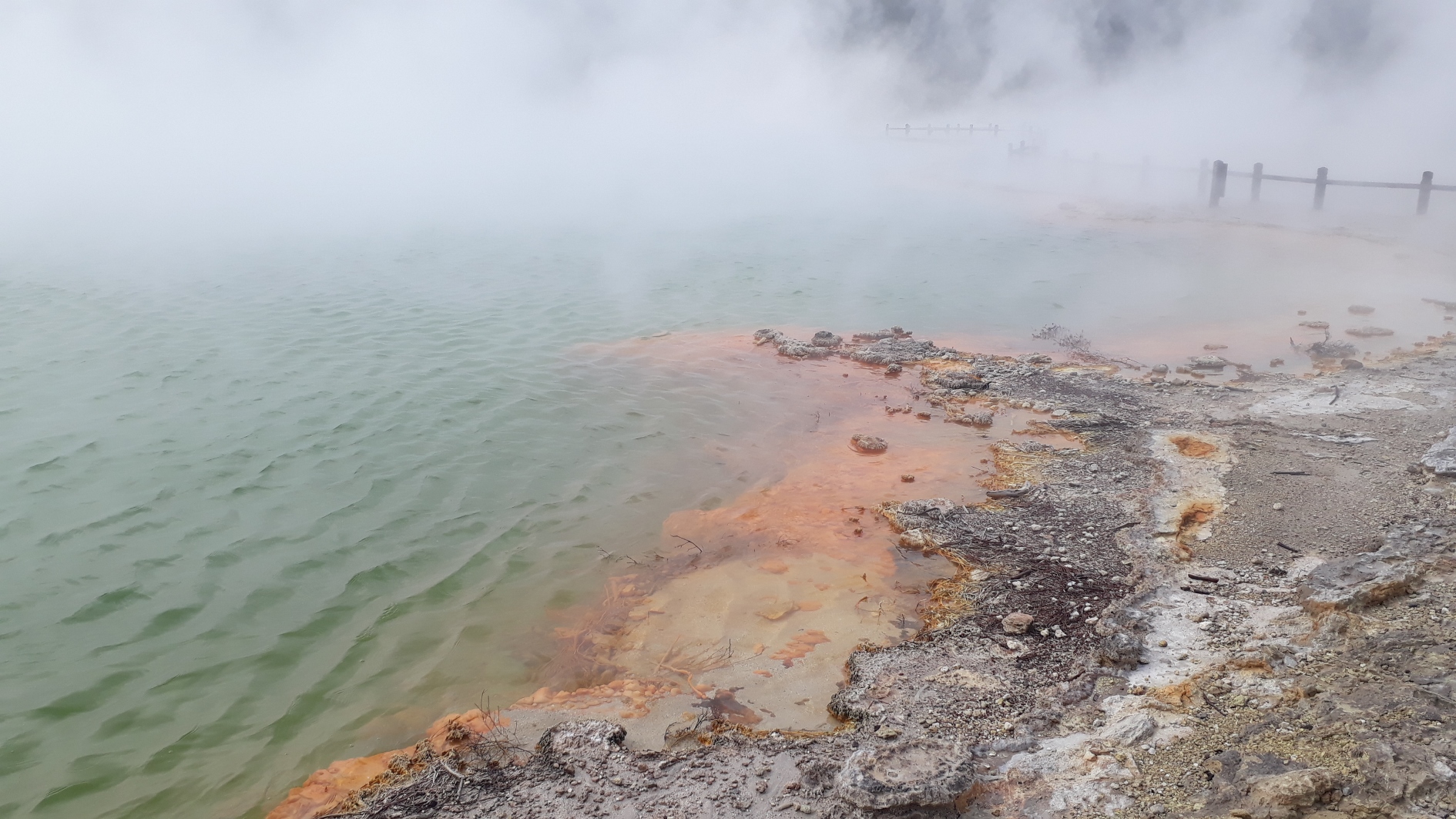 Welcome to the rumbling belly of the shaky isles: Taupo and Rotorua Part Two