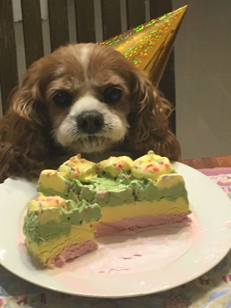 Every Picture Tells a Story: Lucky's 18th Birthday