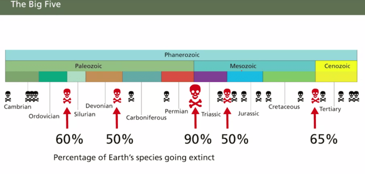 The Jigsaw Puzzle of Pangea: What It Tells Us About Our Fragile Human Lives
