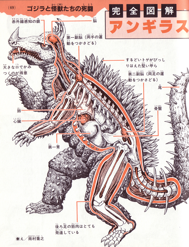 An Anatomical Guide to Godzilla and other Gigantic Japanese monsters