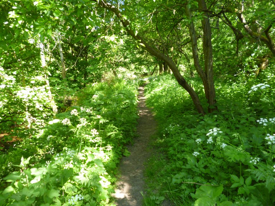 Travel: Walks along the Water of Leith, Edinburgh