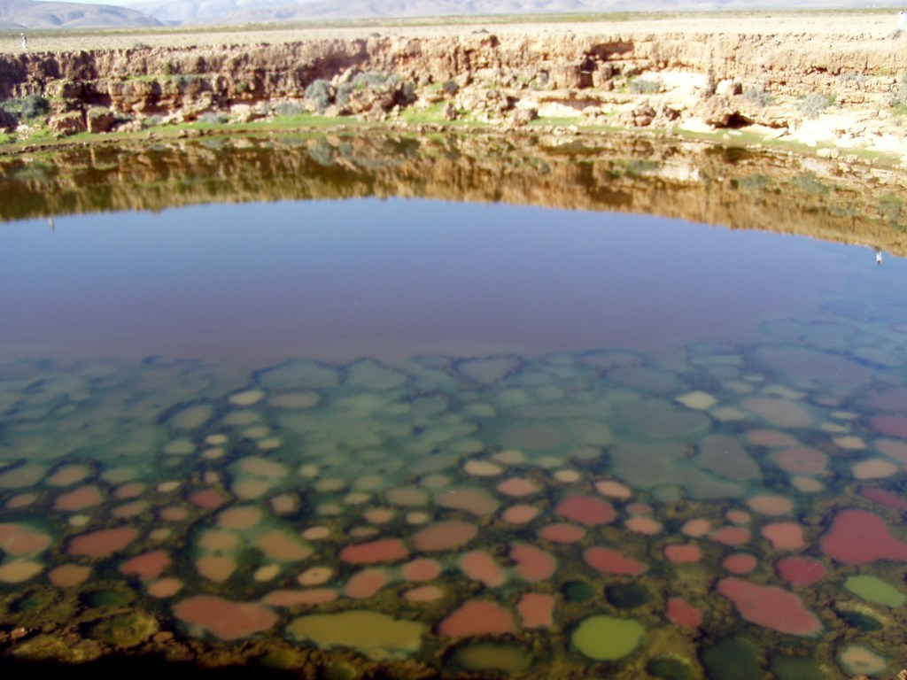 Welcome to a strange and forgotten alien world: Socotra
