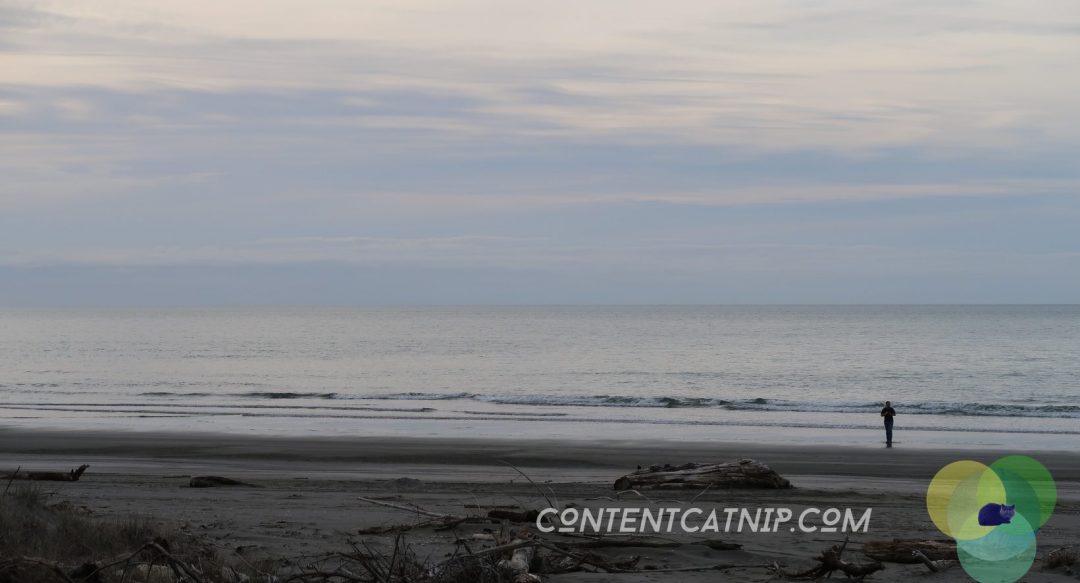 A roadtrip through the Bay of Plenty and Eastern Cape of the North Island