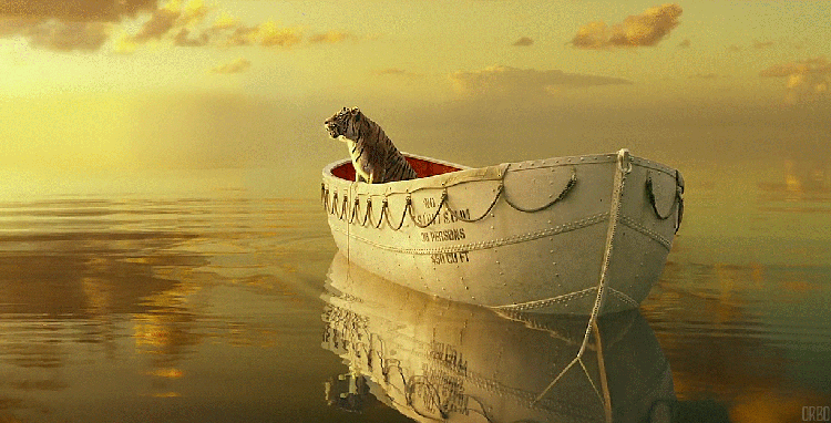 Every Picture Tells a Story: Roaring at the sublime 