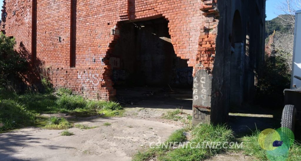 A roadtrip through the Bay of Plenty and Eastern Cape of the North Island