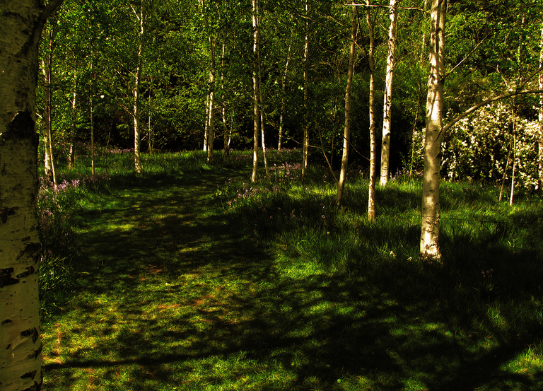 Kennerton Green - Australia and New Zealand's Coolest Gardens