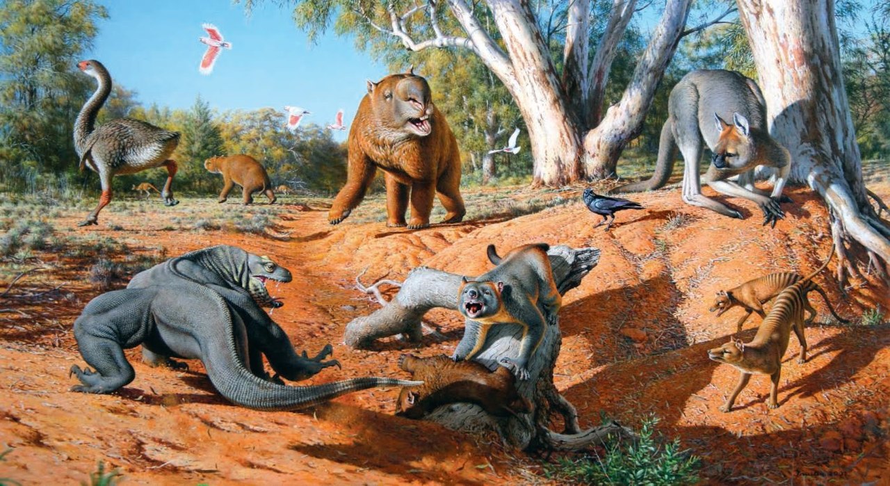 Ancient Australian Megafauna: Diprotodon optatum