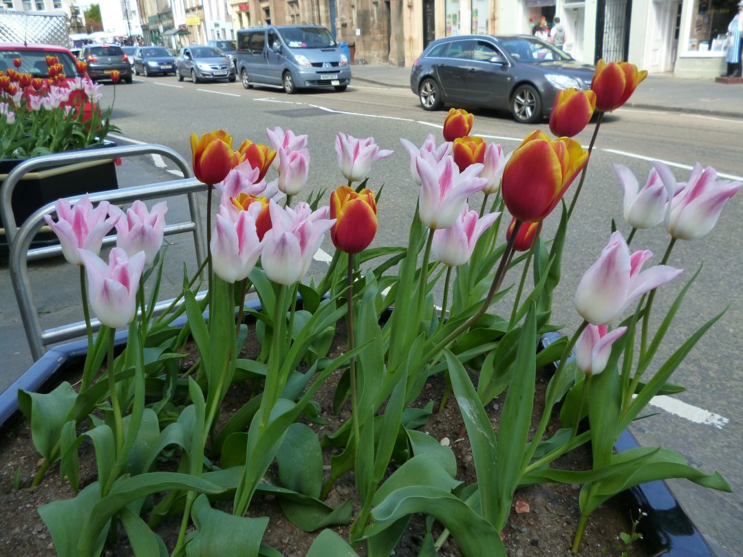 A day trip to the historic Scottish town of Linlithgow