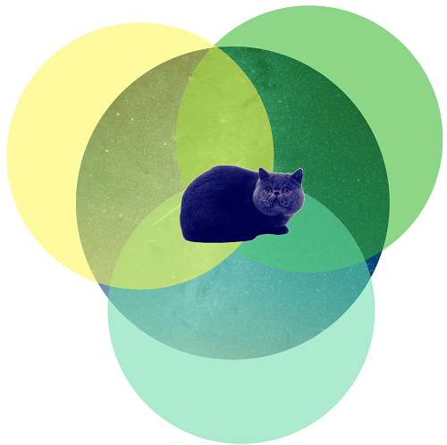 Content catnip logo small