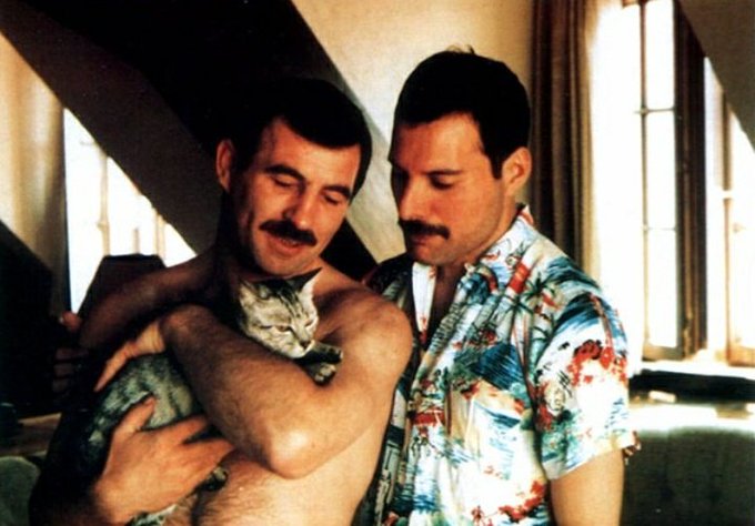 Freddy Mercury really loved his cats