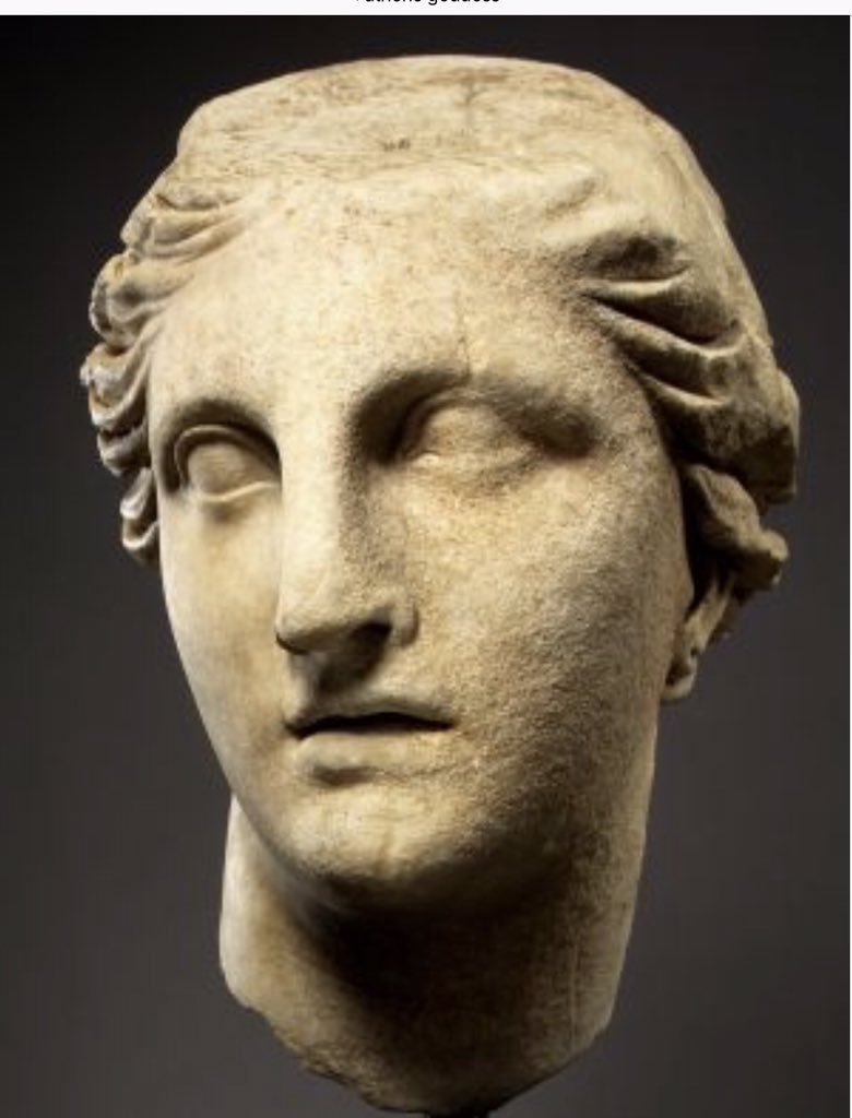 Ancient word of the day: Athene Noctua or Athena's Owl