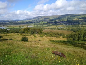 The Kelvin Valley from Barrhill Iron Age fort