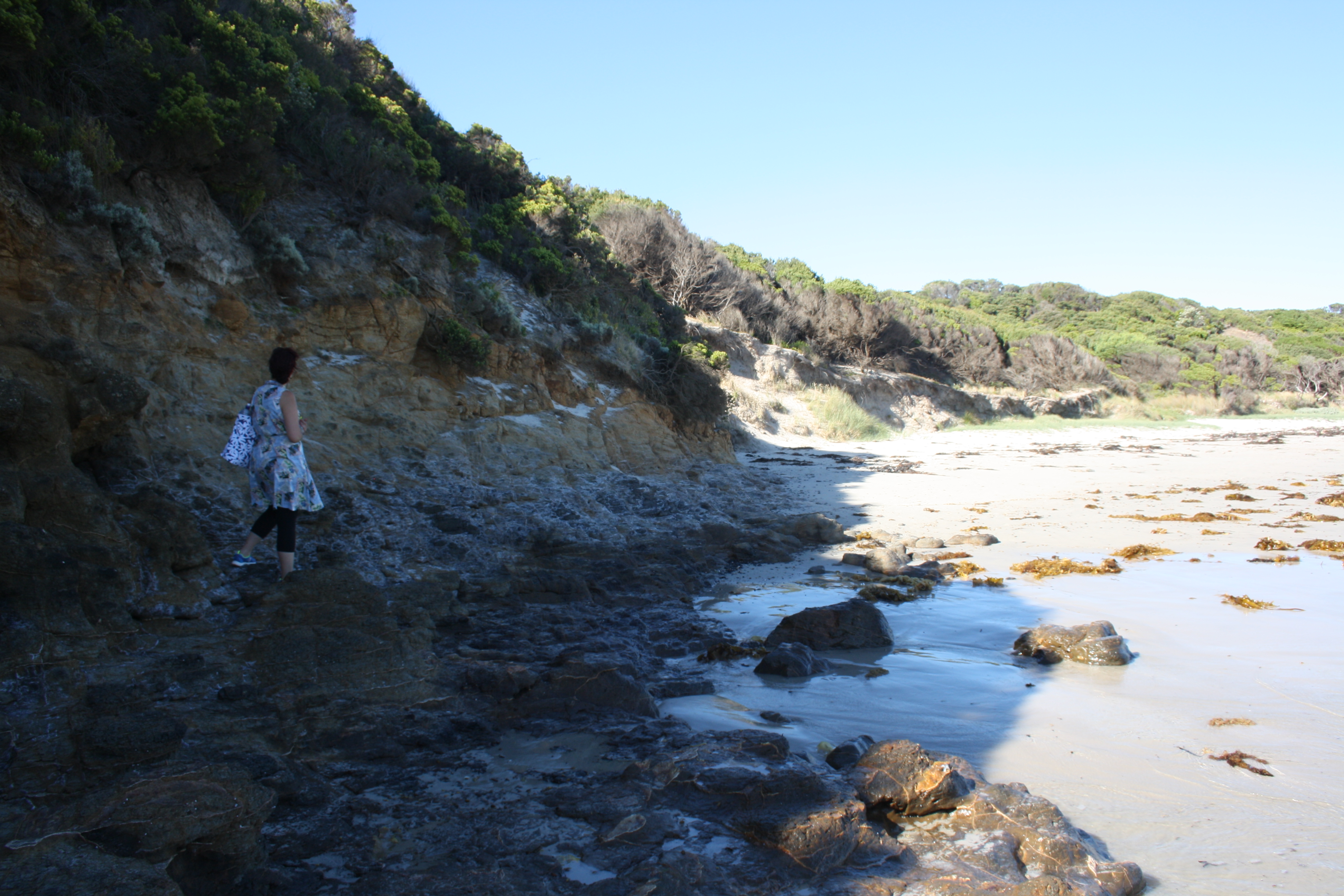 Summer in Melbourne Part 1: Mushroom Reef Sanctuary, Flinders.