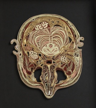 Intricate paper cross sections of human bodies by Lisa Nilsson