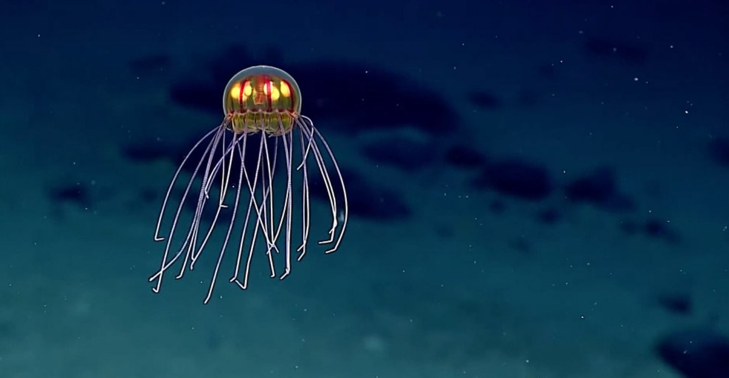 10 Uplifting things I found on the internet this week #7