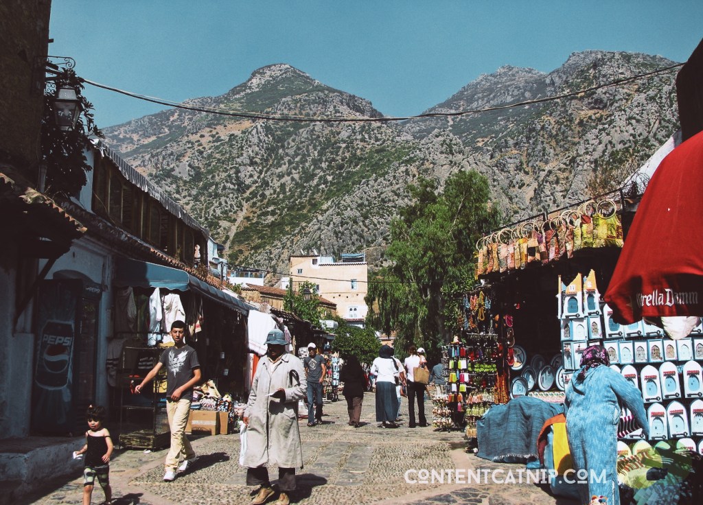 Copyright © Content Catnip 2009 www.contentcatnip.com