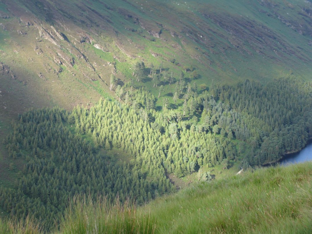 Among the Irish Faeries and Norse Gods