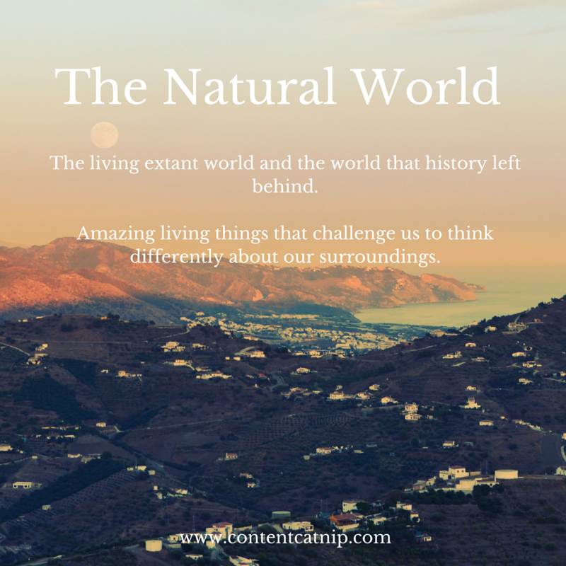 Content Catnip - The Natural World