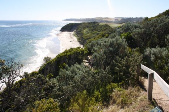 Summer in Melbourne Part 1: Mushroom Reef Sanctuary, Flinders.