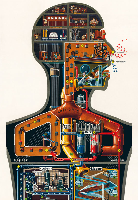 Fritz Khan's painting Der Menschen als Industriepalast in dreamy animation