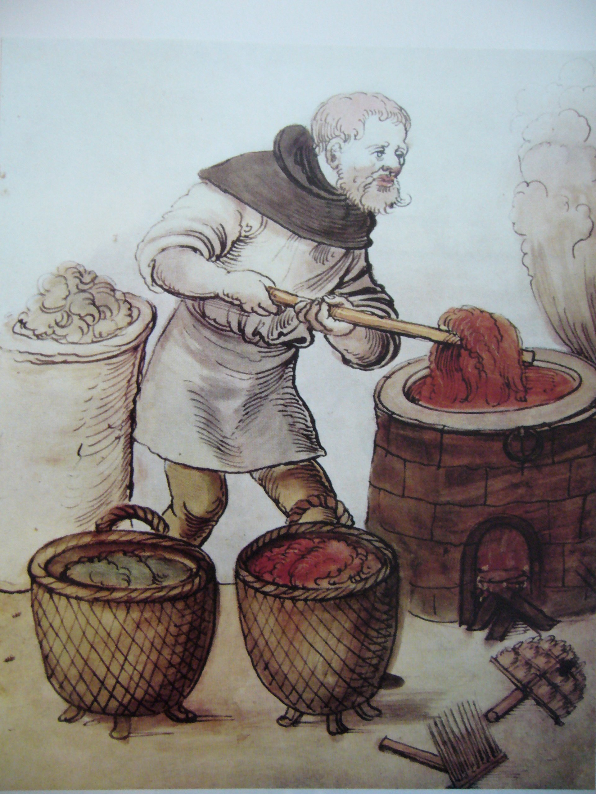 Dyeing garments in the Middle Ages with tiny maggots Polish cochineals (Porphyrophora polonica