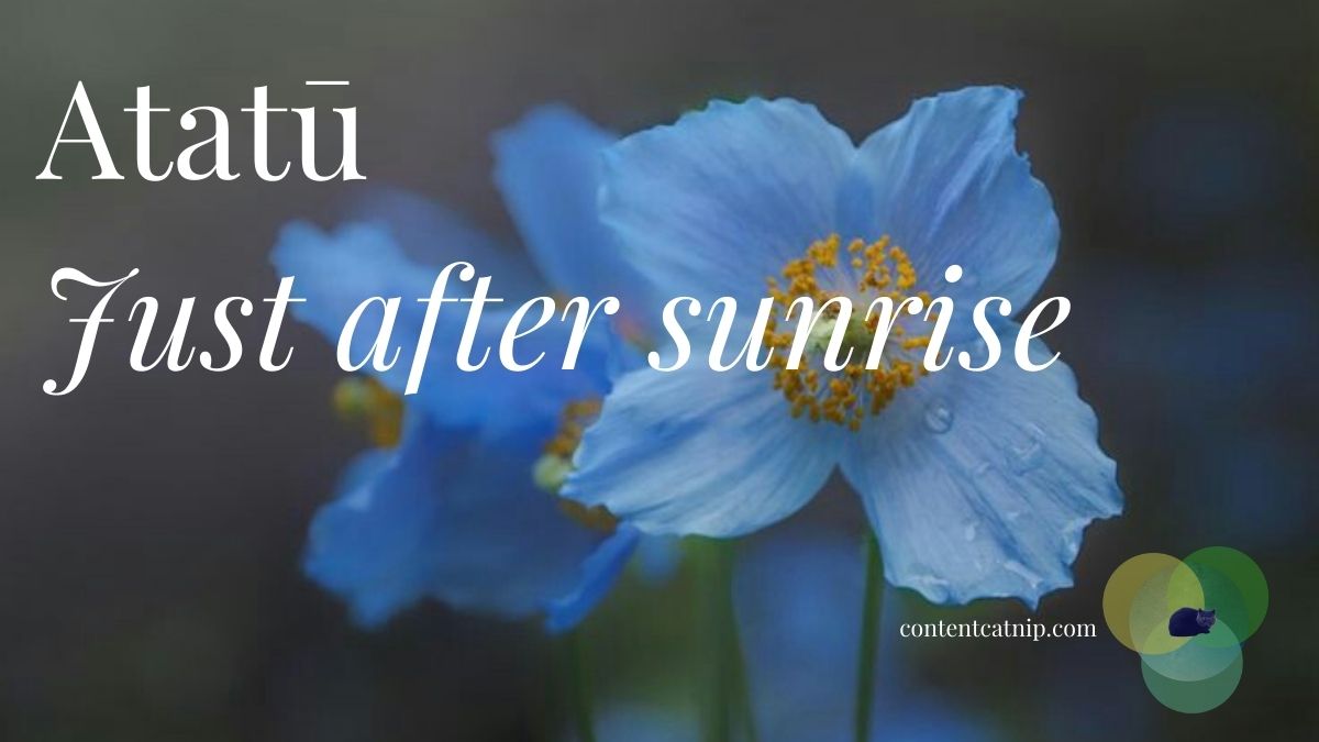 Wāhanga o Te Rā/ Times of the Day in Māori